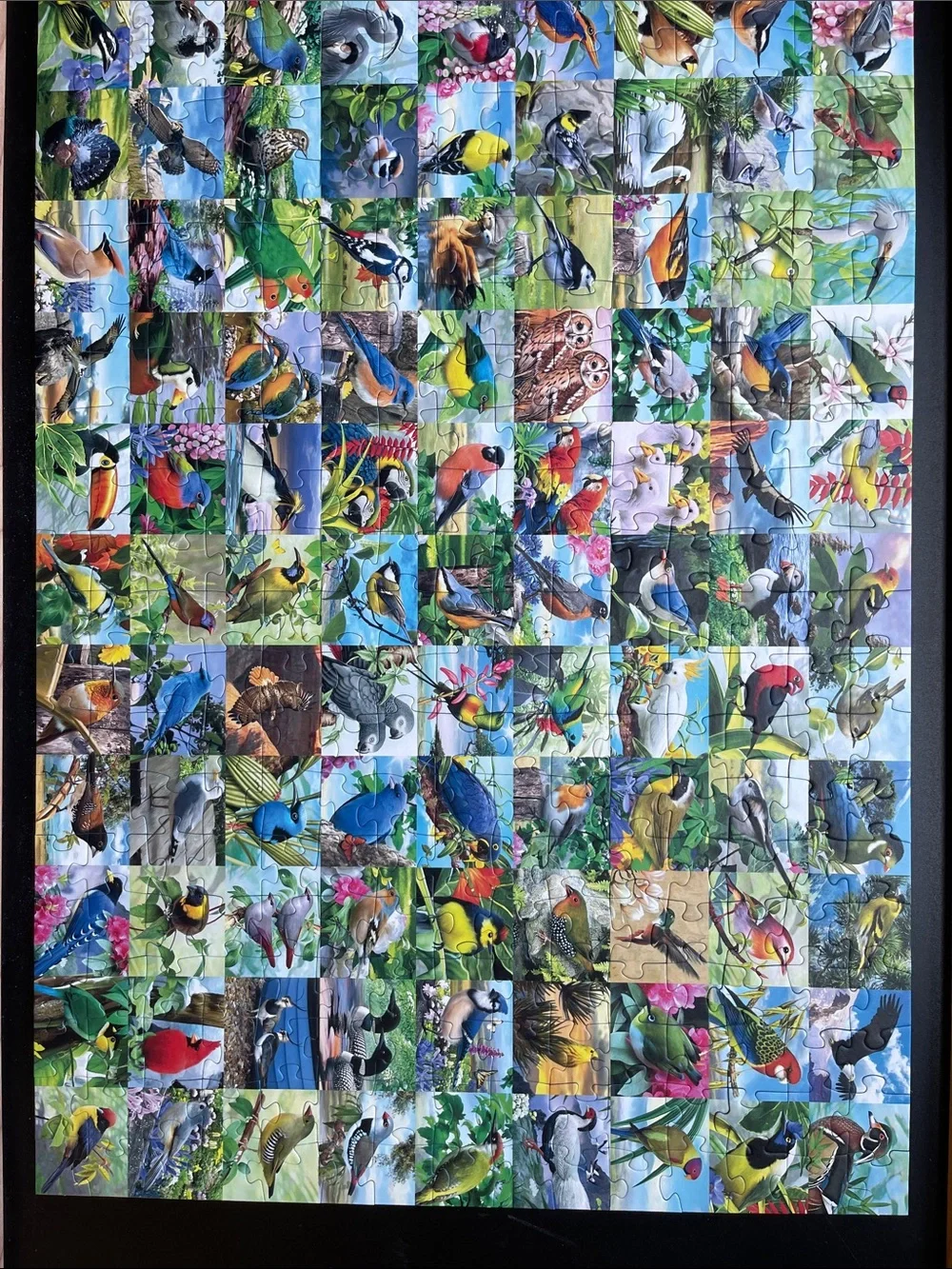 Ravensburger 300 Large piece bird puzzle